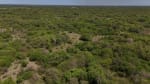 ALQUILER LOTES DE CAMPO - 3.533 HAS. GANADERAS ZONA TOSTADO, SANTA FE - Miniatura 11