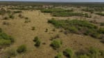 ALQUILER LOTES DE CAMPO - 3.533 HAS. GANADERAS ZONA TOSTADO, SANTA FE - Miniatura 19