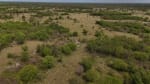 ALQUILER LOTES DE CAMPO - 3.533 HAS. GANADERAS ZONA TOSTADO, SANTA FE - Miniatura 18