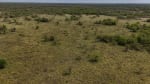 ALQUILER LOTES DE CAMPO - 3.533 HAS. GANADERAS ZONA TOSTADO, SANTA FE - Miniatura 21
