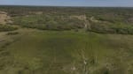 ALQUILER LOTES DE CAMPO - 3.533 HAS. GANADERAS ZONA TOSTADO, SANTA FE - Miniatura 26
