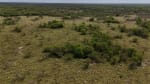 ALQUILER LOTES DE CAMPO - 3.533 HAS. GANADERAS ZONA TOSTADO, SANTA FE - Miniatura 28