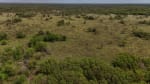 ALQUILER LOTES DE CAMPO - 3.533 HAS. GANADERAS ZONA TOSTADO, SANTA FE - Miniatura 25