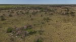 ALQUILER LOTES DE CAMPO - 3.533 HAS. GANADERAS ZONA TOSTADO, SANTA FE - Miniatura 30