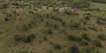 ALQUILER LOTES DE CAMPO - 3.533 HAS. GANADERAS ZONA TOSTADO, SANTA FE - Miniatura 31