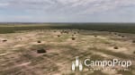 VENTA 425 HAS DE EXCELENTE CAMPO EN TOSTADO, SANTA FE - Miniatura 5