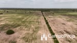 VENTA 425 HAS DE EXCELENTE CAMPO EN TOSTADO, SANTA FE - Miniatura 4