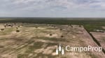 VENTA 425 HAS DE EXCELENTE CAMPO EN TOSTADO, SANTA FE - Miniatura 3