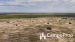 VENTA 425 HAS DE EXCELENTE CAMPO EN TOSTADO, SANTA FE - Miniatura 6