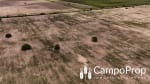 VENTA 425 HAS DE EXCELENTE CAMPO EN TOSTADO, SANTA FE - Miniatura 10