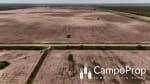 VENTA 425 HAS DE EXCELENTE CAMPO EN TOSTADO, SANTA FE - Miniatura 9
