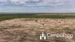 VENTA 425 HAS DE EXCELENTE CAMPO EN TOSTADO, SANTA FE - Miniatura 7