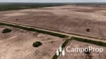 VENTA 425 HAS DE EXCELENTE CAMPO EN TOSTADO, SANTA FE - Miniatura 8