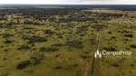 1.227 HAS ALQUILER CON OPCION A COMPRA - Miniatura 18