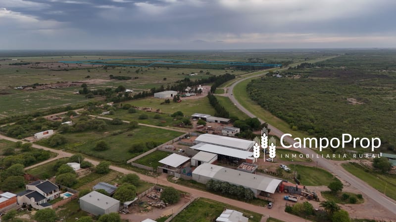 VENTA CAMPO 53,5 HAS. LINDERAS A ZONA SUB URBANA DE CIUDAD TOSTADO, SANTA FE
