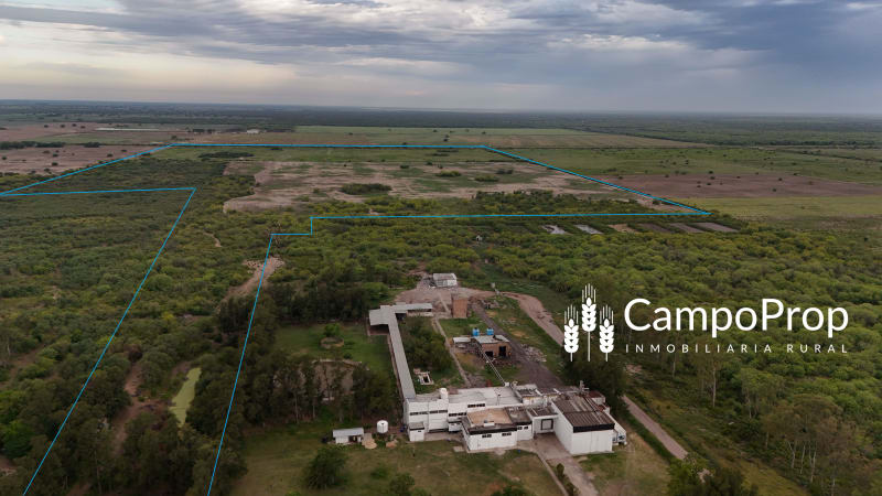 VENTA CAMPO 53,5 HAS. LINDERAS A ZONA SUB URBANA DE CIUDAD TOSTADO, SANTA FE - Vista 2
