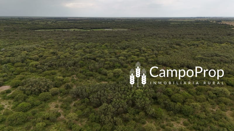 Campo de 315 has en venta en Logroño, Santa Fe - Vista 2