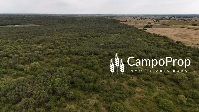 Campo de 315 has en venta en Logroño, Santa Fe
