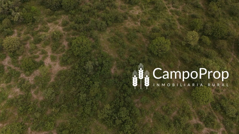 Campo de 315 has en venta en Logroño, Santa Fe - Vista 3