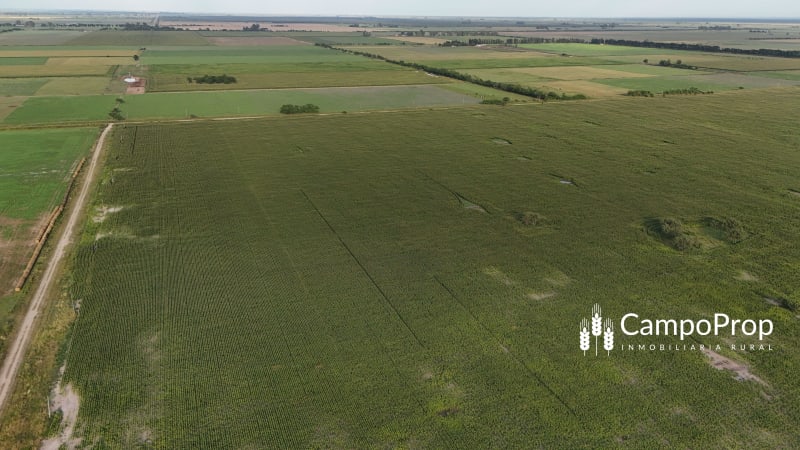 VENTA 796 HAS DE EXCELENTE CAMPO MIXTO EN ELISA, SANTA FE - Vista 3