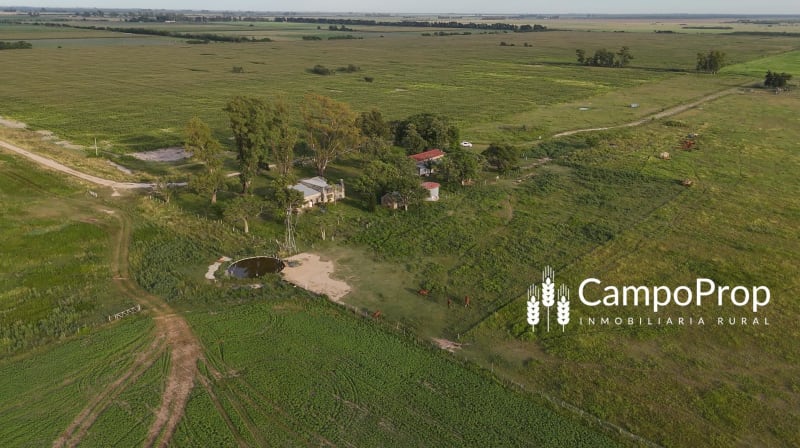 VENTA 796 HAS DE EXCELENTE CAMPO MIXTO EN ELISA, SANTA FE