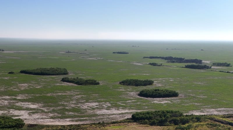 VENTA CAMPO DE 4.000 HAS PARA SIEMBRA ZONA ESTE DE TOSTADO SANTA FE - Vista 3