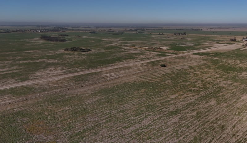 VENTA CAMPO DE 4.000 HAS PARA SIEMBRA ZONA ESTE DE TOSTADO SANTA FE - Vista 2