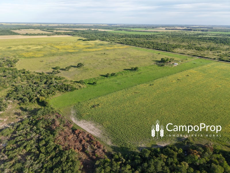 VENTA CAMPO DE 32 HAS EN MALABRIGO - Vista 2
