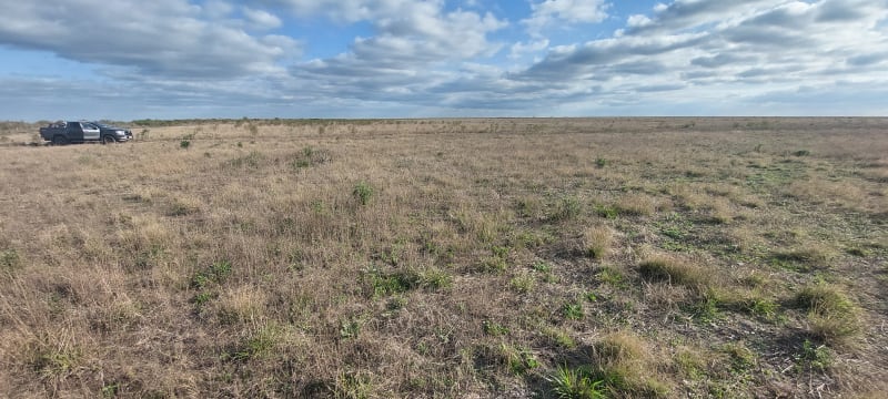VENTA CAMPO 3.000 HAS. AGRÍCOLAS ZONA FORTÍN INCA, SANTIAGO DEL ESTERO
