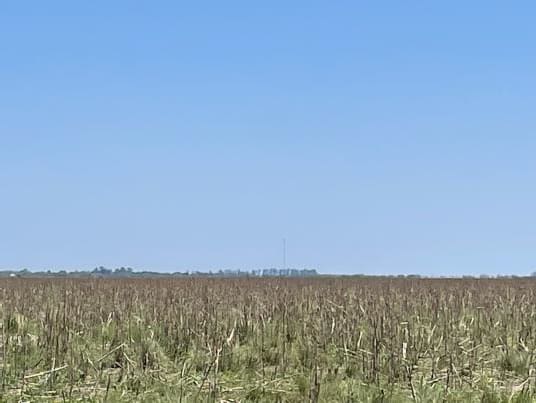 VENTA CAMPO ARMADO DE 3.000 HAS. ZONA LOGROÑO, SANTA FE - Vista 3