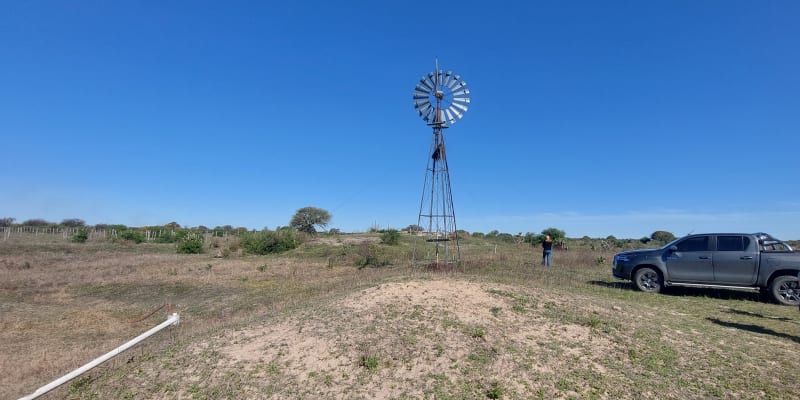 ALQUILER 105 HAS CAMPO NATURAL LIMPIO ZONA RUTA 290, POZO BORRADO SANTA FE