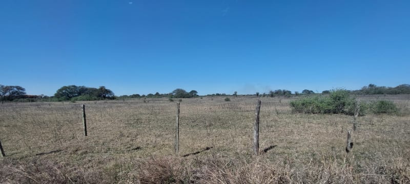 ALQUILER 105 HAS CAMPO NATURAL LIMPIO ZONA RUTA 290, POZO BORRADO SANTA FE - Vista 2