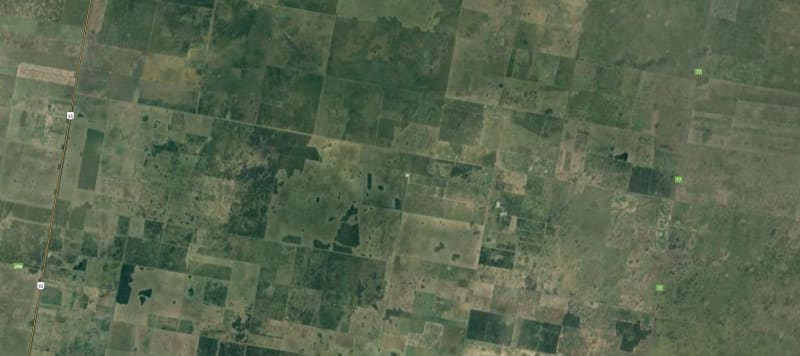 ALQUILER 277 HAS CAMPO NATURAL, SAN BERNARDO SANTA FE