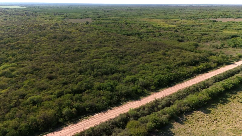 ALQUILER CAMPO NATURAL DE 180 HAS AL ESTE DE TOSTADO