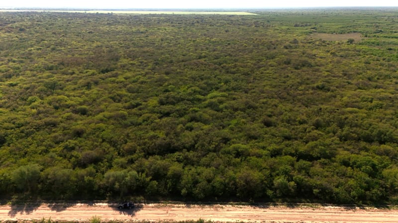 ALQUILER CAMPO NATURAL DE 180 HAS AL ESTE DE TOSTADO - Vista 2