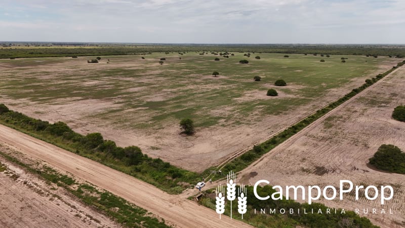 VENTA 425 HAS DE EXCELENTE CAMPO EN TOSTADO, SANTA FE