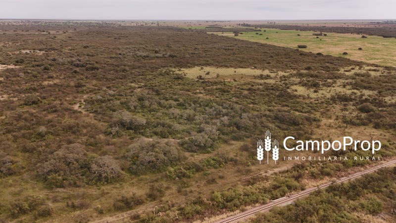VENTA CAMPO DE 150 HAS EN INDEPENDENCIA. DEPTO. 9 DE JULIO, SANTA FE - Vista 2