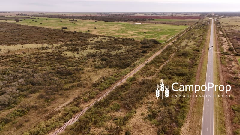 VENTA CAMPO DE 150 HAS EN INDEPENDENCIA. DEPTO. 9 DE JULIO, SANTA FE