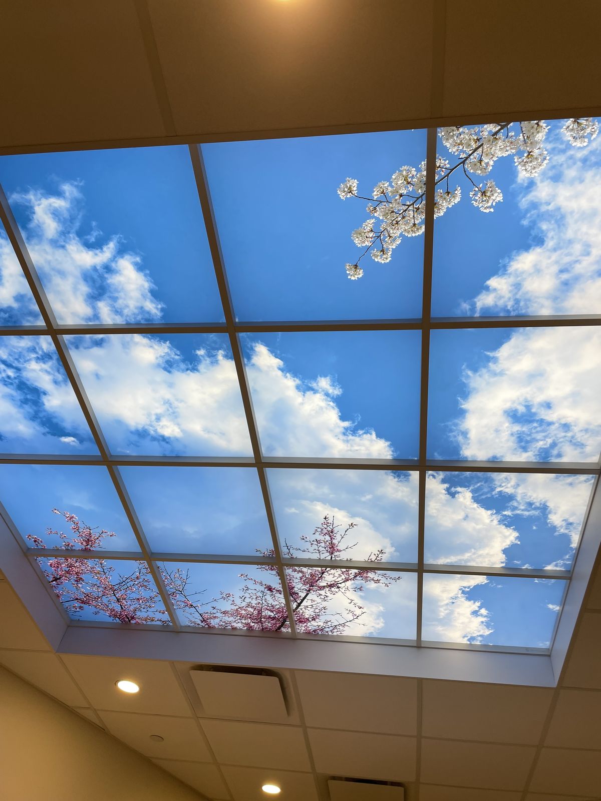 Customized Printed Stretch Ceiling Fabric (Send Design via WhatsApp)