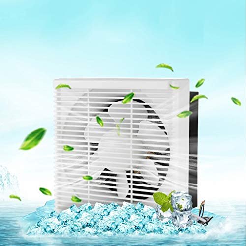 illustration for fan