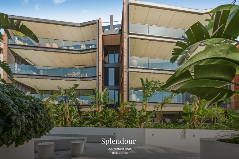Splendour