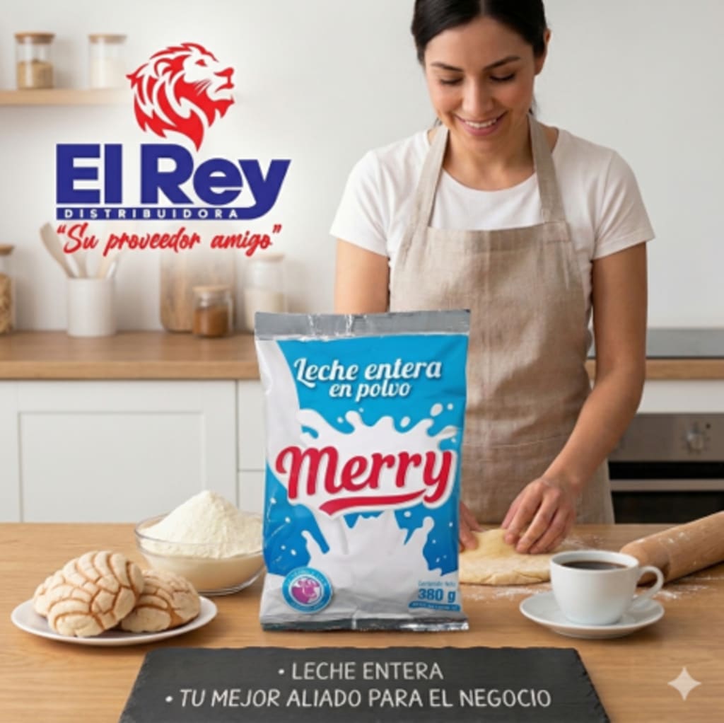 LECHE EN POLVO MERRY ENTERA BOLSA 380 GRS x 30