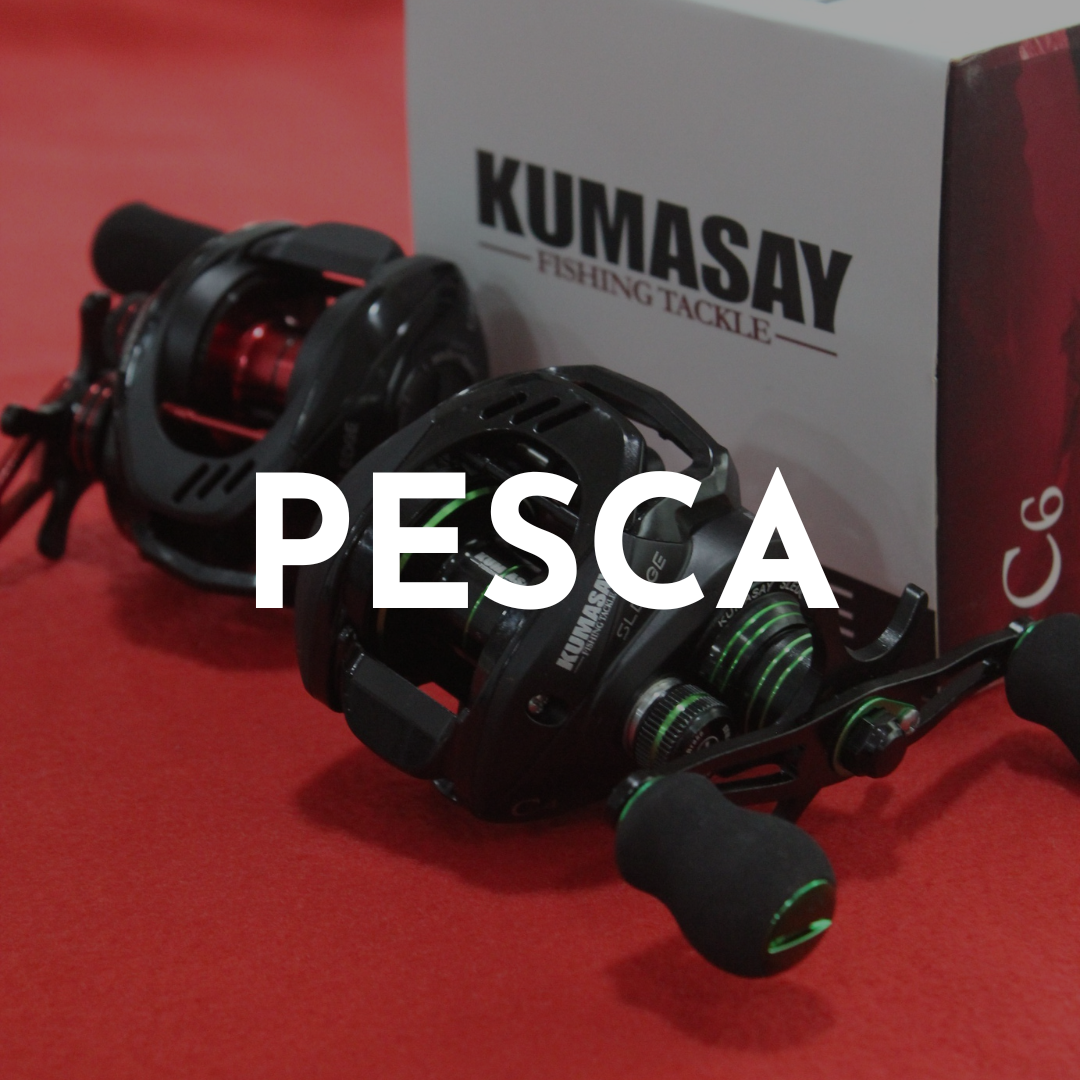 Pesca