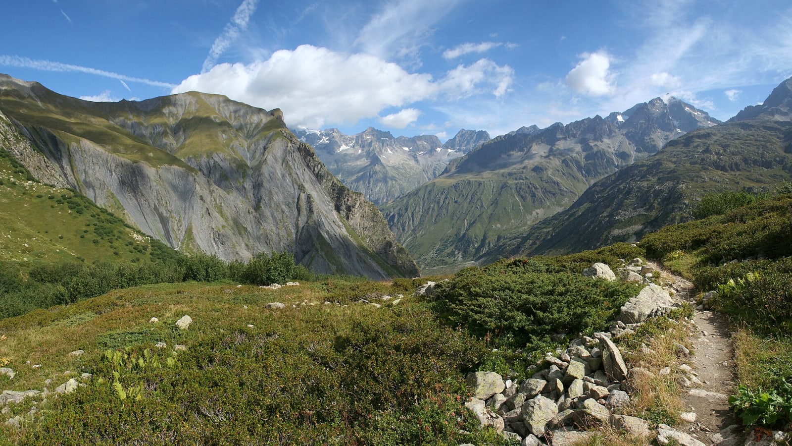 Sendero de montaña entre vegetación baja con un valle y cumbres nevadas al fondo