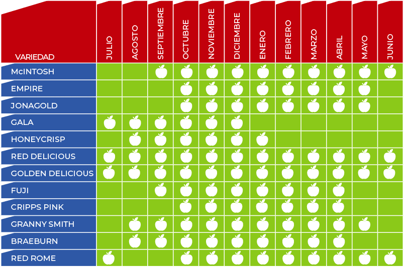 E-commerce vs Tienda Física: ¿Cuál Gana?