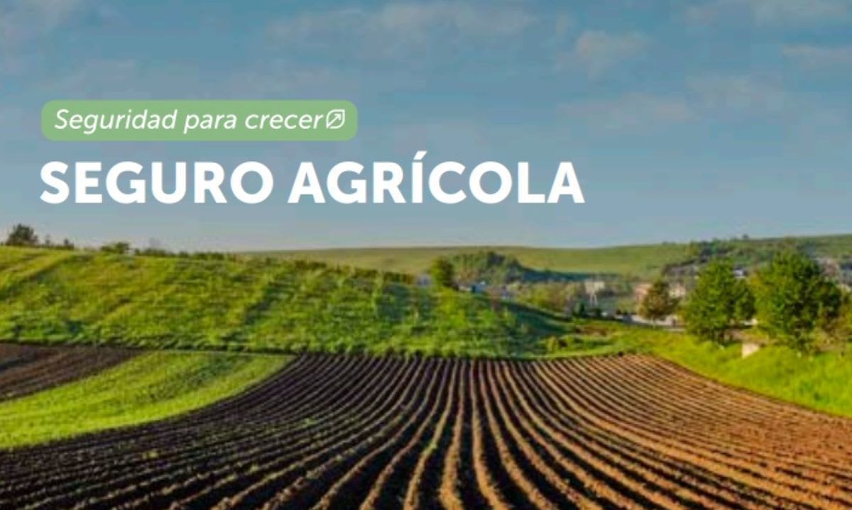 Agroseguro Renueva su Identidad Visual y Sonora con Campaña de CandyStore