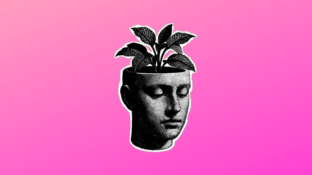 Canva: Estrés por Datos en España y el Poder del Storytelling Visual