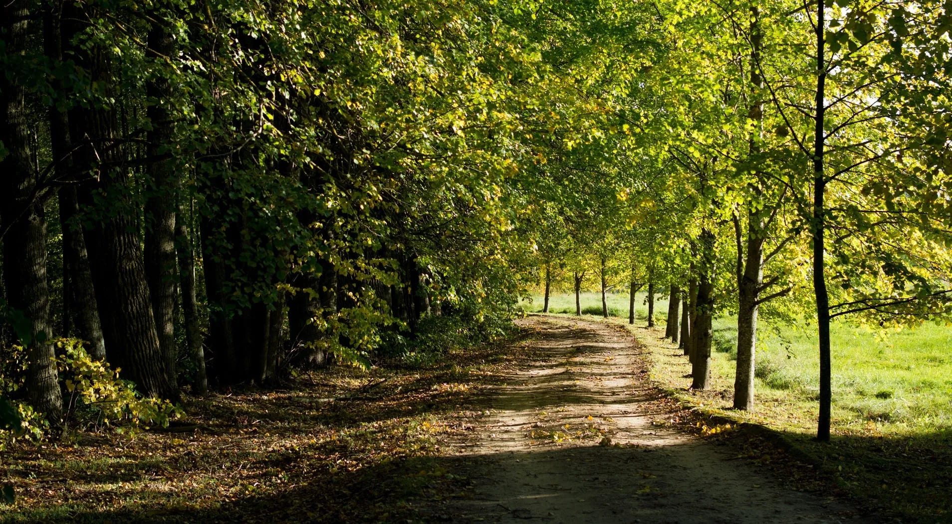 Cinco tendencias que moldearán las redes en 2024
