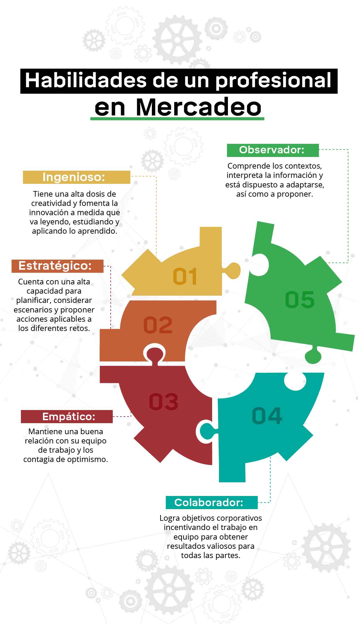Claves para Triunfar en Marketing: Estudios Esenciales y Rol del SEO