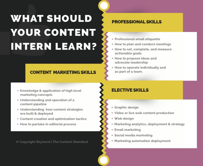 Oportunidad: Internados en Marketing Digital